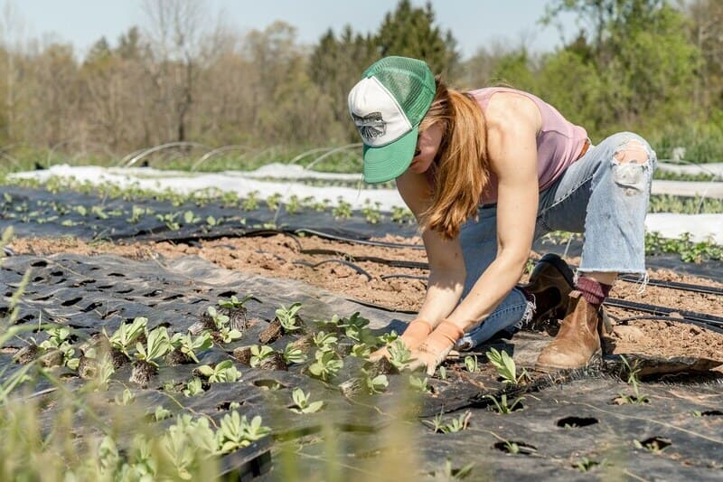 Sustainable Farming