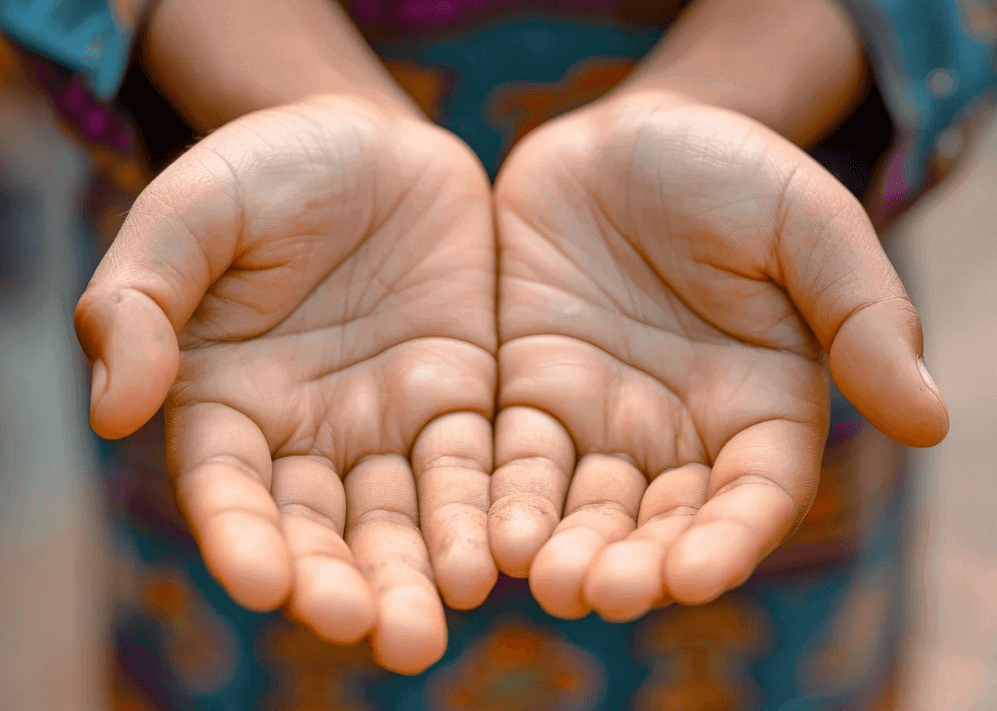 humanitarian support