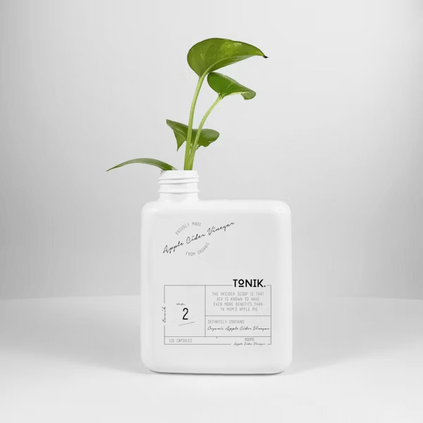 Bottle with plant for sustainable decor on table