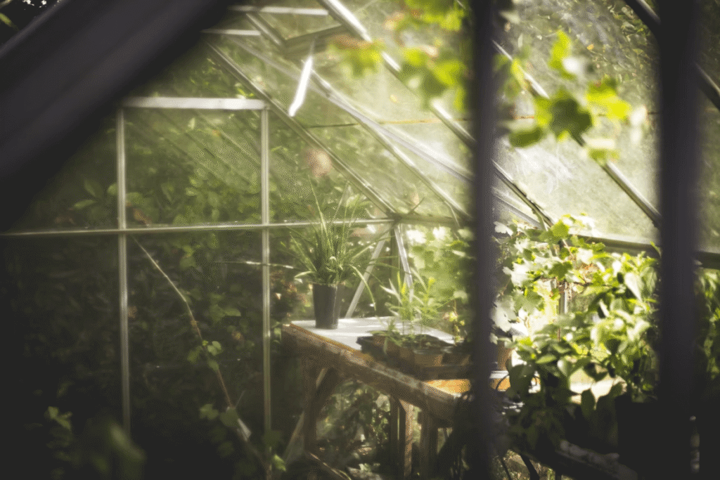 Small greenhouse interior with table and plants for sustainable gardening